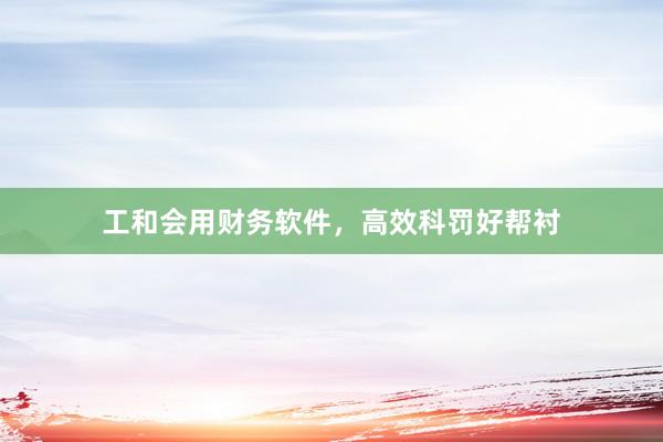 工和会用财务软件，高效科罚好帮衬