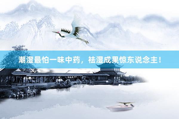 潮湿最怕一味中药，祛湿成果惊东说念主！