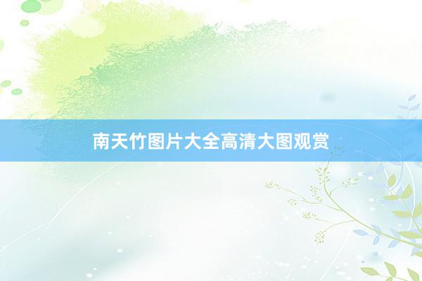 南天竹图片大全高清大图观赏