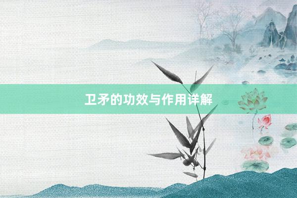 卫矛的功效与作用详解